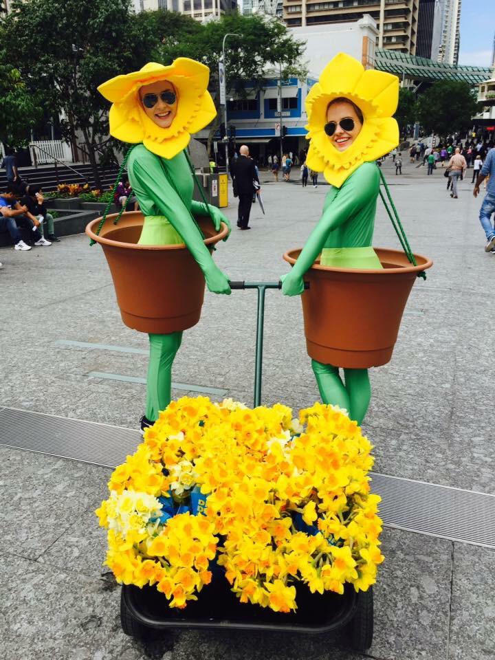 kcostalos's tweet photo. Brisbane's a sea of yellow for Daffodil Day! It's not too late to donate. City volunteers will be out till 6pm @CCQld http://t.co/qQGxaxJ1bq