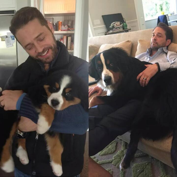 Happy birthday Jason Priestley 