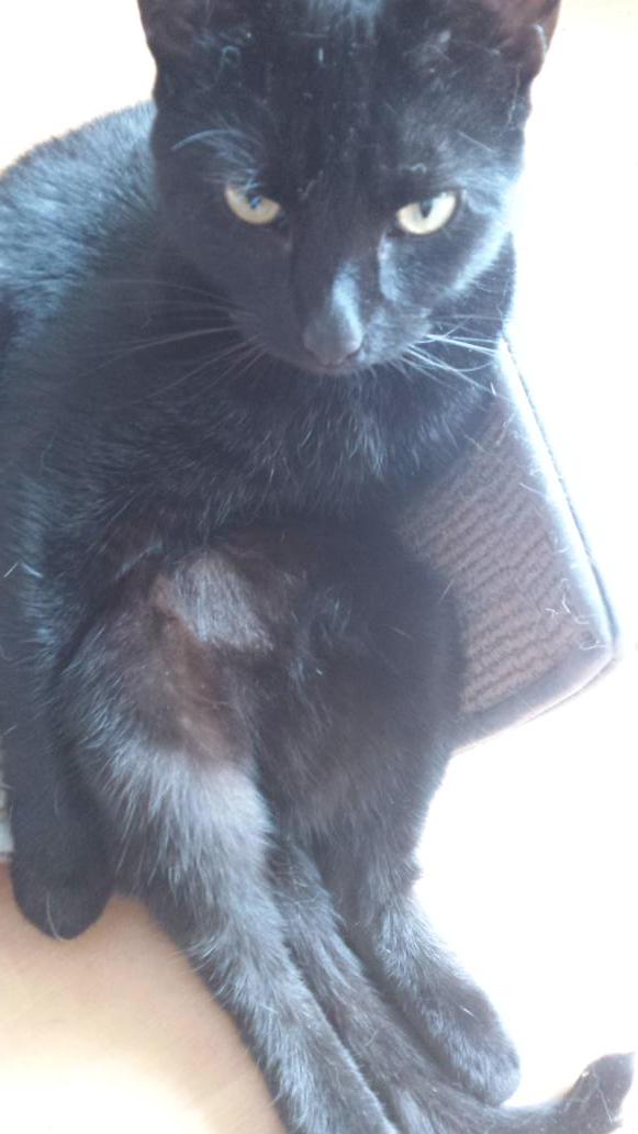 micrababe's tweet image. 