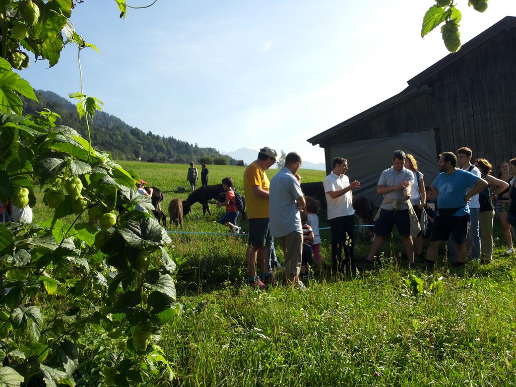 Mattinata in campo con Agritur #dalaipdeipape per la raccolta del #luppolo <a href="/bionoc/">Birrificio  BioNoc'</a> #BioLupo #birraartigianale