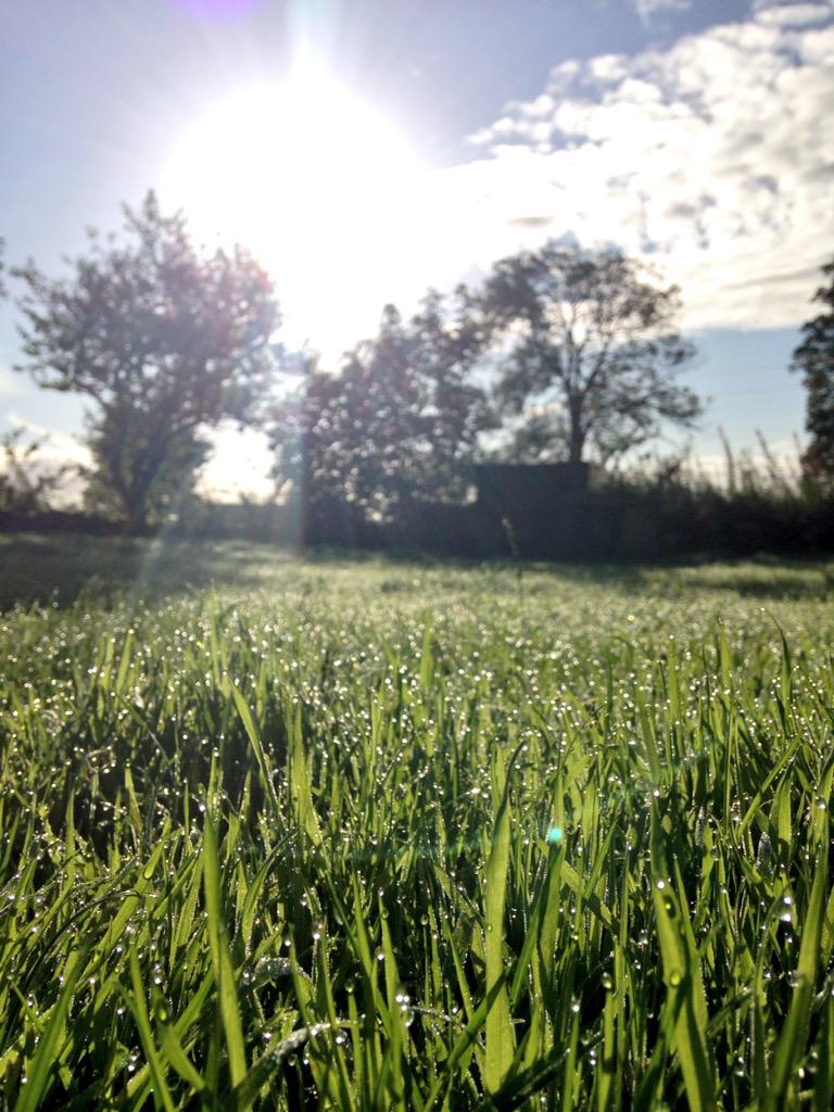 Yours_Mindfully's tweet photo. 👣☀️ “@FitBits_: Is there anything better than fresh morning dew on bare feet? 😊 http://t.co/CuEAeChA4j”