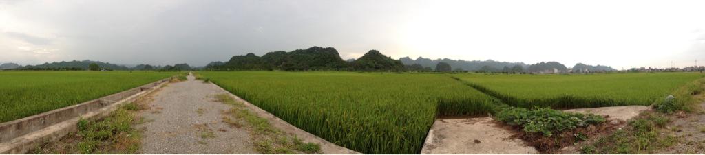 cym_pham's tweet photo. http://t.co/hCgxdKCG7r