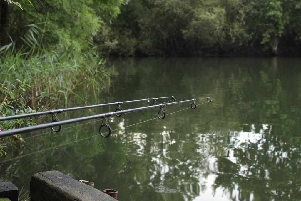 Lovely view from earlier in the week
#fishing #view