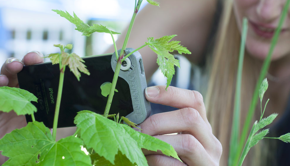 HomeIntelligence&You tweet media