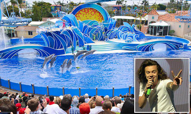DailyMailCeleb's tweet image. .@seaworld has a 400% spike in negative comments, all because Harry Styles uttered four words dailym.ai/1MSEXIp