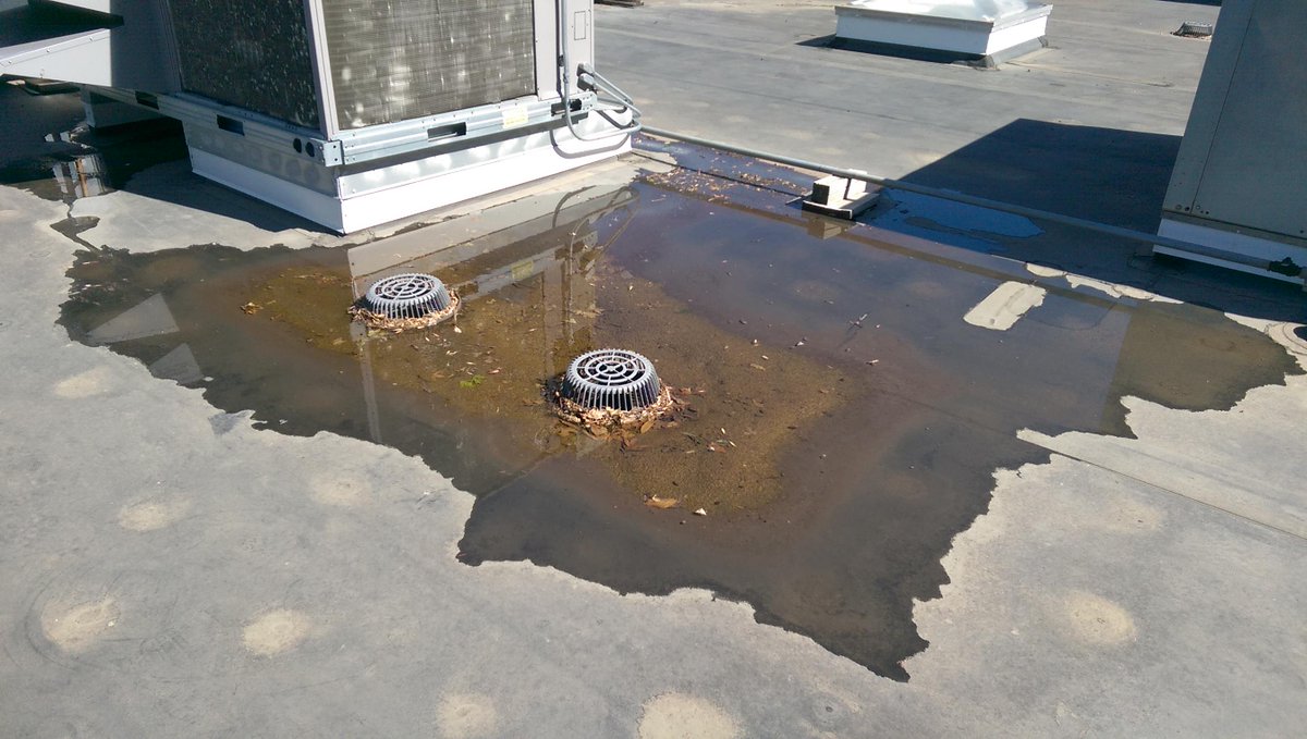 Do you know the biggest problems we see on commercial roofs? Let us show you: mintroofing.com/the-top-10-com…