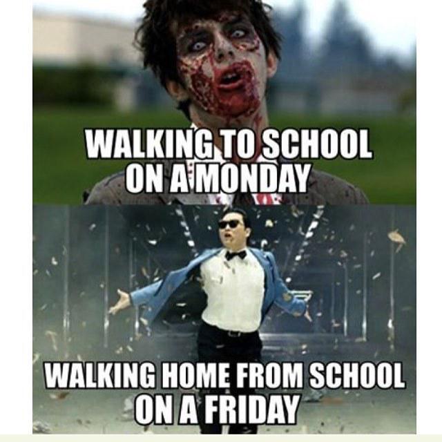 Yup. Sorry for the zombie. #teacherblogger #teachersofinstagram #iteachtoo #teachersfollow… ift.tt/1LH0tB3