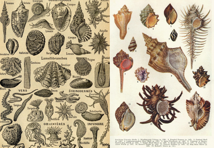 Levestone tweet media