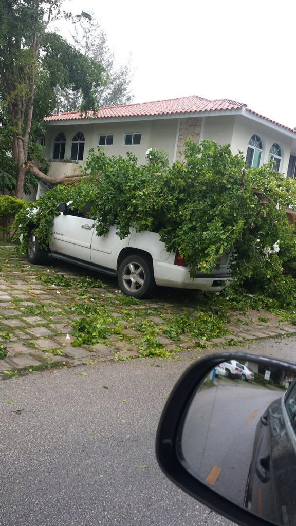 erickblancom's tweet image. 