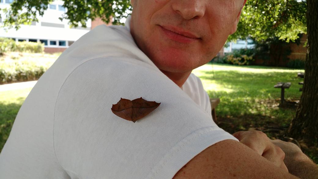 Kristen Zarkowsky tweet media