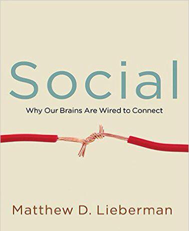 WAE2's tweet image. Two thumbs up - the social cognitive neuroscience book by Matthew Lieberman - great work.