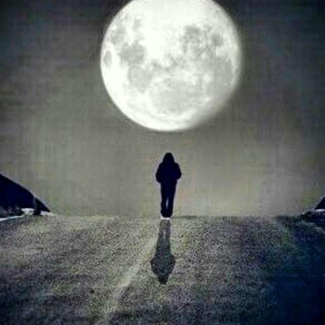 الخائفون لآ يدخلون مدن العشق،،
مدن العشق للمجانين فقط