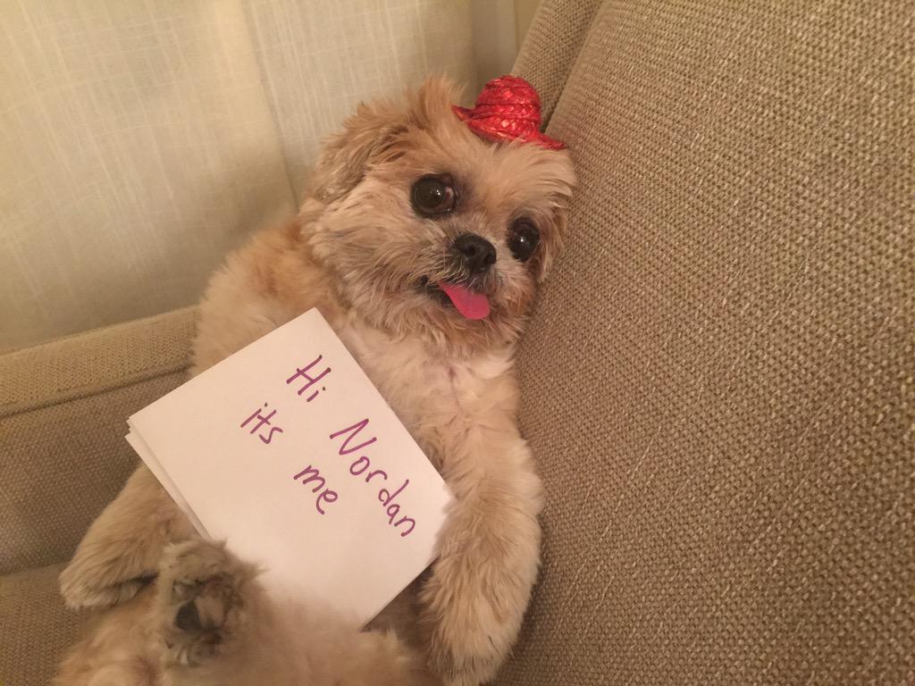 FaZe_Rain's tweet image. My heart just melted.