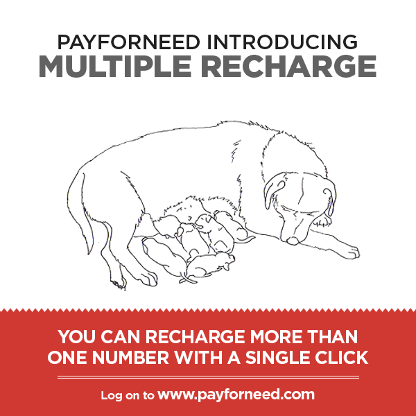 Payforneed's tweet photo. Payfoneed Introducing #MultipleRecharge first time in #India
http://t.co/ubA22RVZOa http://t.co/K1gTPOoMvw