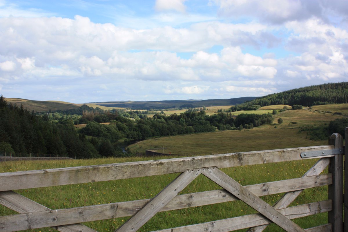 Englands_NE's tweet image. The stunning Kielder Water and the vast surrounding forest form a region all of their very own ow.ly/RvPgP