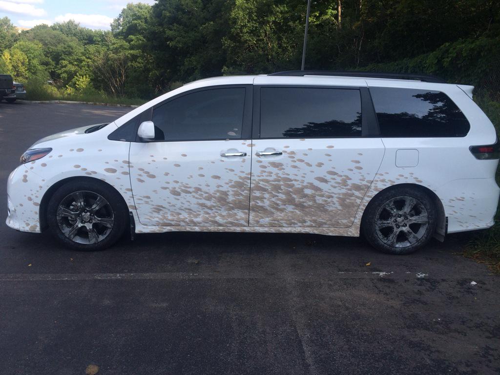 Heffner Toyota Lexus On Twitter Now Here S An Interesting Paint