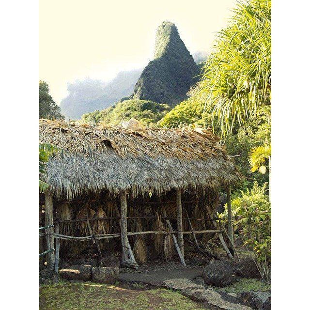 Photo: ishawaii.tumblr.com/post/127812271… Iao Valley… pronounced “eeow”… #Maui #ScenicWonders #Paradise #MauiNoKaOi – photo t…