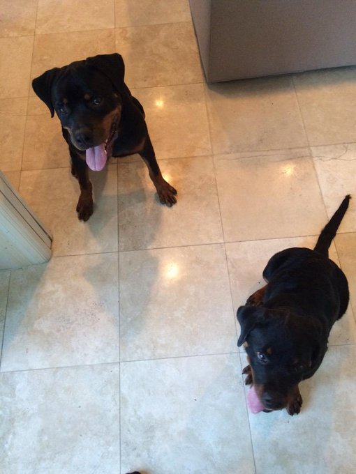 Watch J.A.B🤷🏾‍♂️💰's leaked NSFW photo on TwXstars