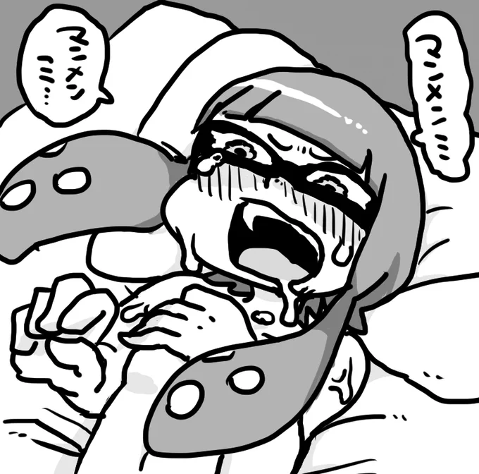 ナワバリバトル 