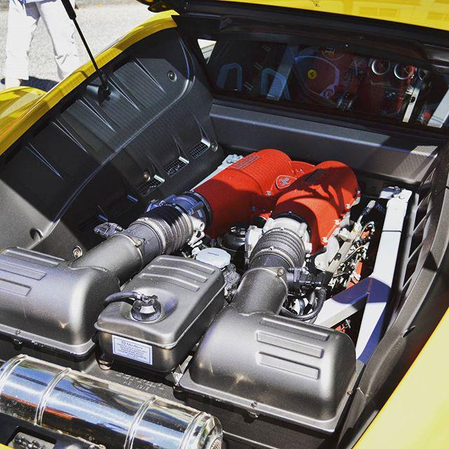 OnlyFerrariPics's tweet image. Business end of a Ferrari F430. #supercarsonstatestreet #scoss #ferrari #f430 @scoss.hbg by dlpinckney