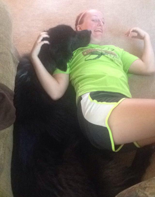 jlacroix14's tweet photo. When you are trying to spoon but the big spoon isn't doing their part! #cuddleprobs http://t.co/dVJf8gqqOo