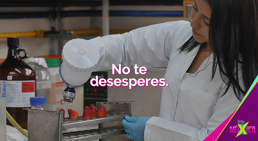 BrillaMexico's tweet photo. Nada llega rápido, necesitas dedicación y compromiso para que las cosas salgan súper bien en tu proyecto sustentable. http://t.co/1Wk2dxyqOS