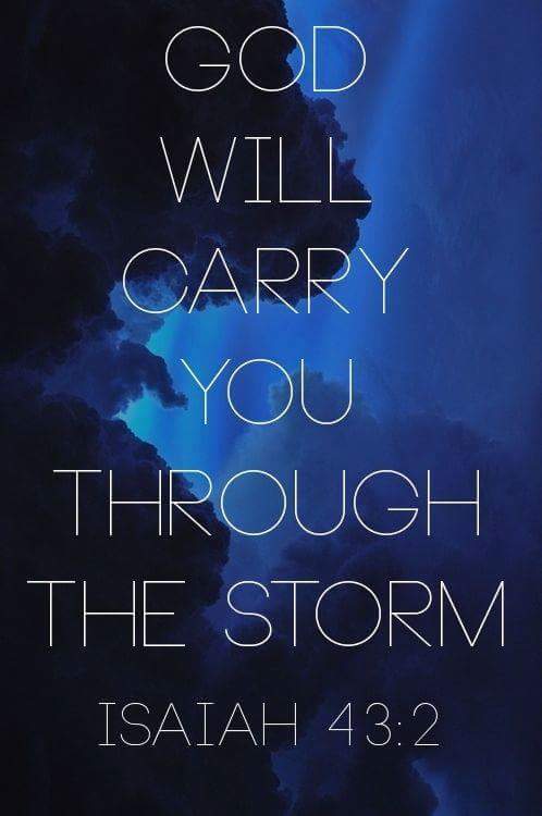 808WOLwarrior's tweet photo. #NewBeginningHI http://t.co/E34Ag1wWg7