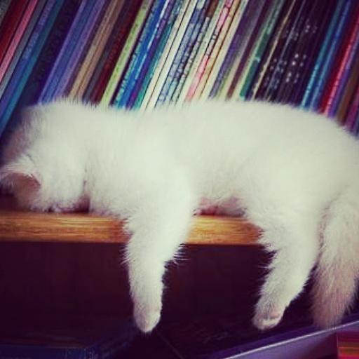mykediler's tweet photo. #GeceninBuVaktiOlmuş http://t.co/vY4O7IQdND