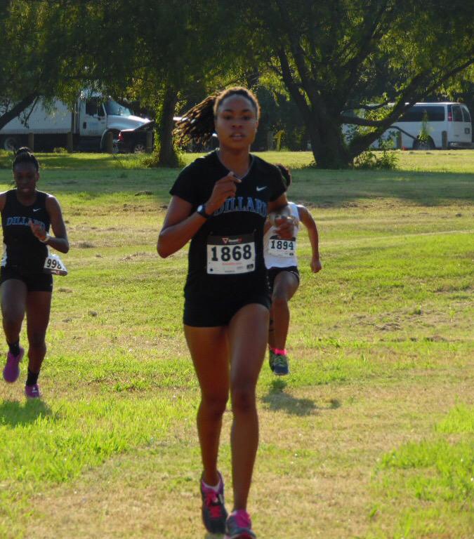 Dillard Athletics tweet media