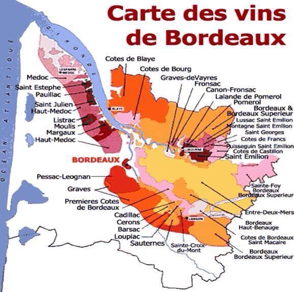 Bordeaux & regions within

#wine #wine101 #Bordeaux #Frenchvino