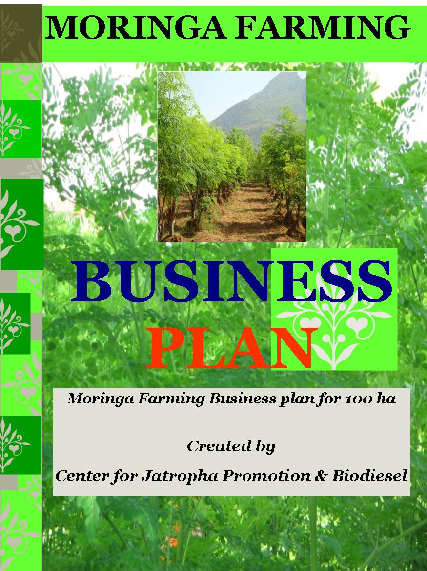 moringa farming business plan 100 ha