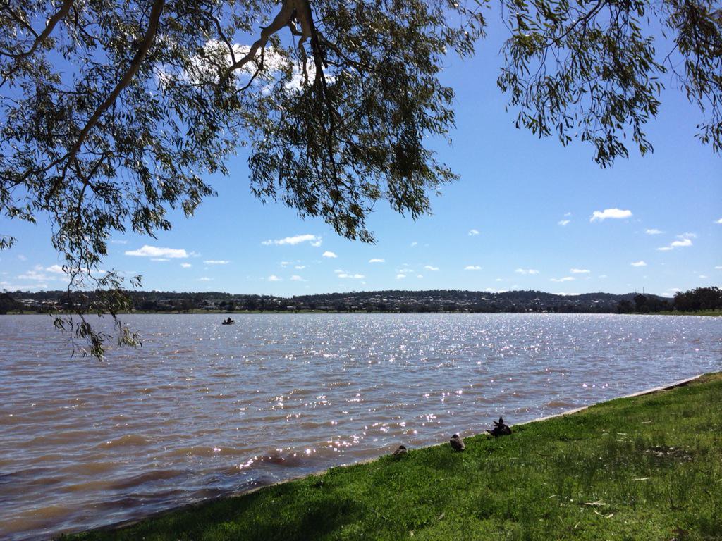 Nicky Alsemgeest tweet media