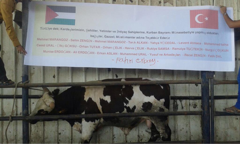 HGazze's tweet photo. Kurban ibadeti paylaşmaktır, kardeşliktir. Kurbanlarını #Gazze deki kardeşleriyle paylaşmak için, irtibat:05323008714 http://t.co/buWJ31Wb5O