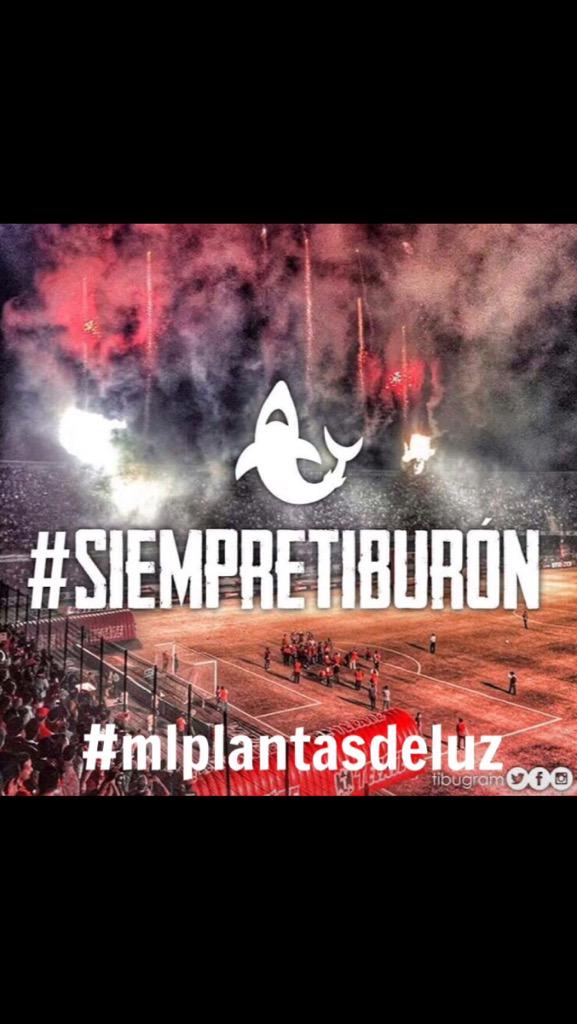 GrupoML's tweet photo. #SiempreTiburon #mlplantasdeluz http://t.co/zC5ooboO9z