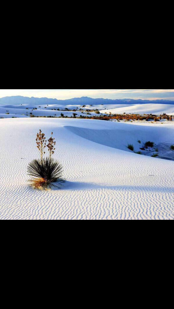 _noo_name's tweet photo. 🌀 الرمال البيضاء في المكسيك 😍 http://t.co/Qm7NskxNla