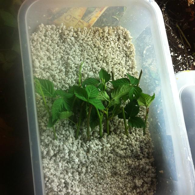 andrebrown92's tweet image. 