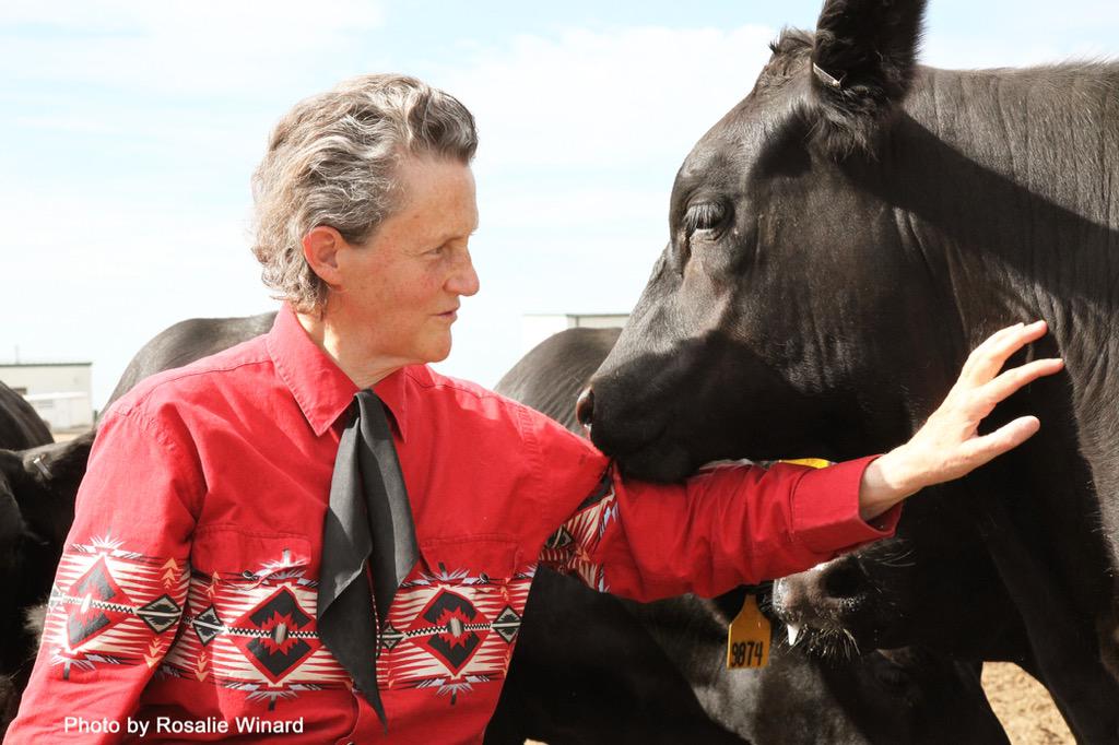 Happy Birthday, Temple Grandin! 