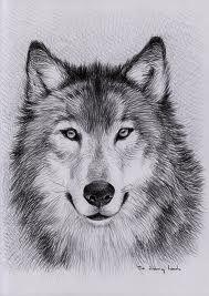 Zentangle_Arts's tweet photo. how to draw a wolf  :) http://t.co/MnxFkUjTjD