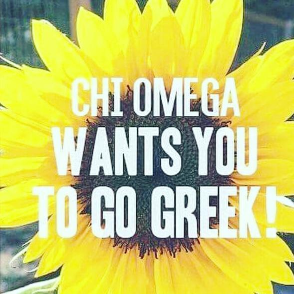 Add a new chapter to your story and go greek!! Recruitment starts in 15 days💛 #gogreek #chiomega #yoursforever