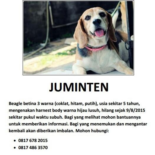 ardhiehan's tweet image. Bang @fadjroeL tolong bantu sebarin. Trims.