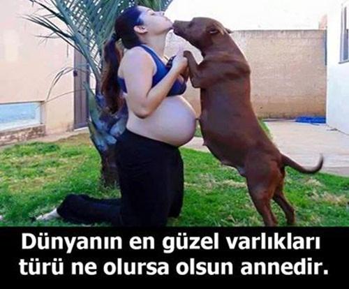 Bilginin Anahtarı® (@bilgininanahtar) on Twitter photo 