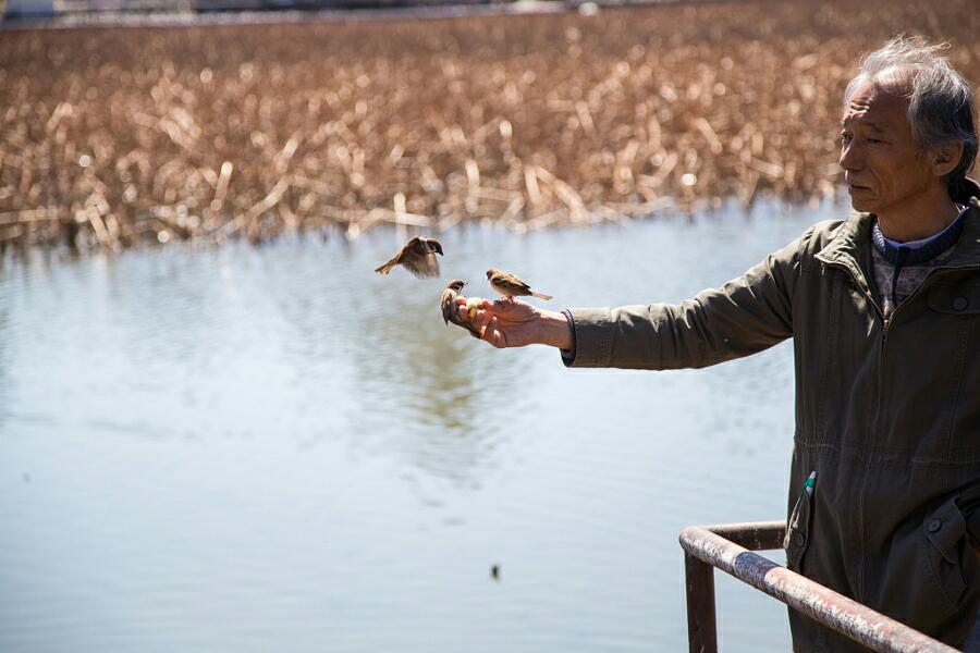 VideoMap's tweet image. Photo name: Old man and birds 
From: 2 
Download it on GP: play.google.com/store/apps/det…