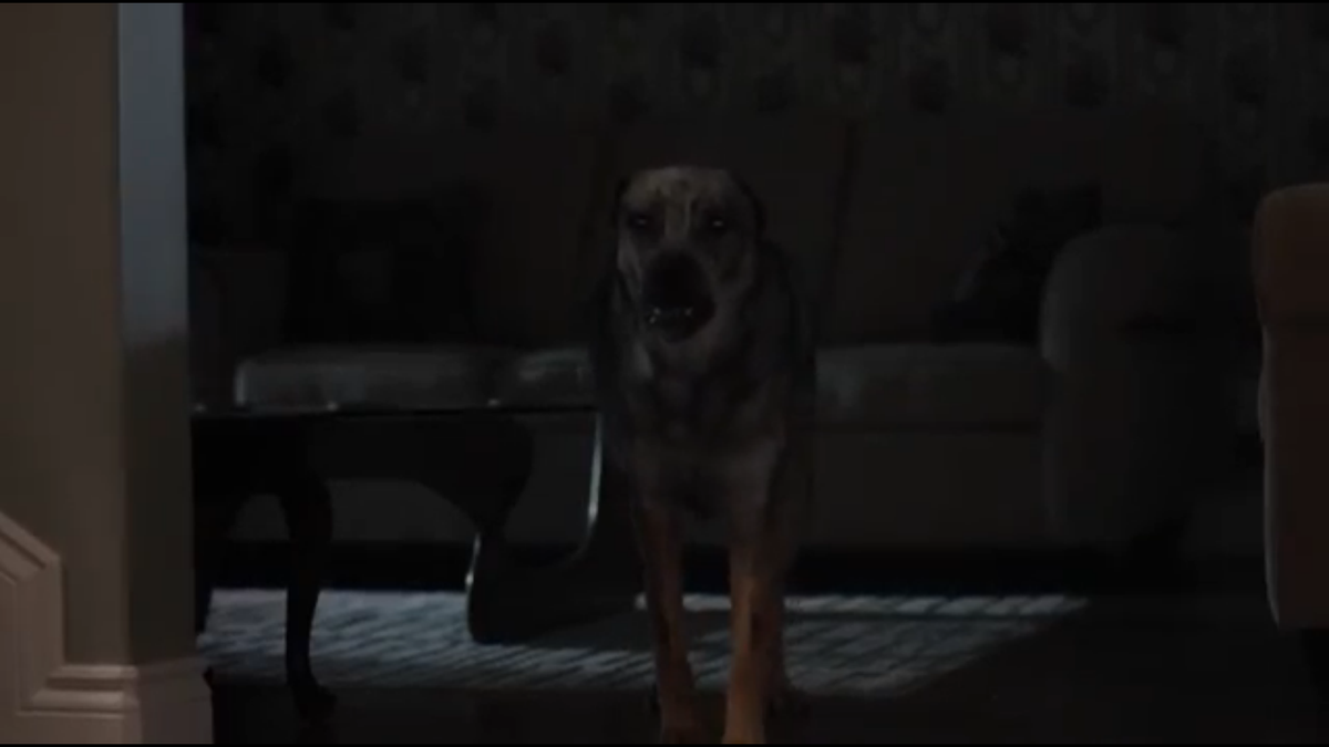 TheHorrorDogs's tweet photo. Clown (2014) #horrordogs #horror #dogs #clown #eliroth #jonwatts #shadow #andypowers #peterstomare #lauraallen http://t.co/pzqBhLcRTj