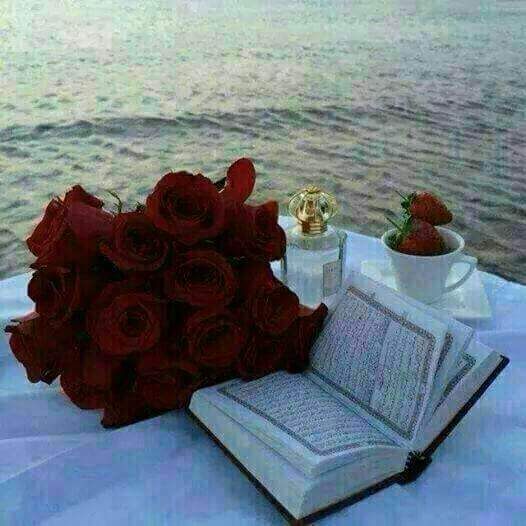 bc93cecf8eb24b3's tweet photo. http://t.co/TM50VtIPLz