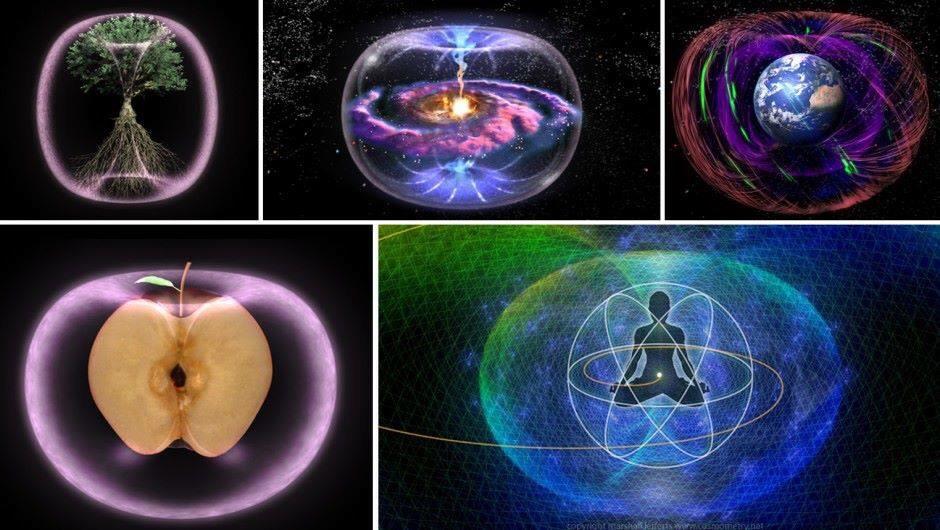 wadadugisti's tweet photo. @ncRising " the torus is nature's way of creating and sustaining life #UniversalPattern " http://t.co/oWx7vSqQjW