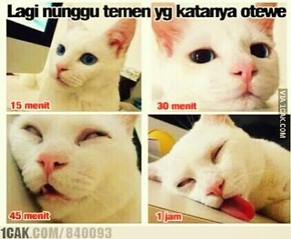 😴😴😴😴😴😴😴😴