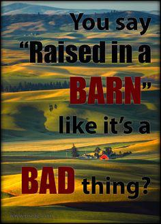 TheRealYRFarms's tweet photo. Yep http://t.co/w4h5kyeEW1
