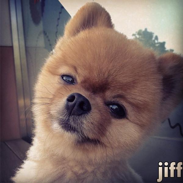 Jiff (@jcffpcm) on Twitter photo 