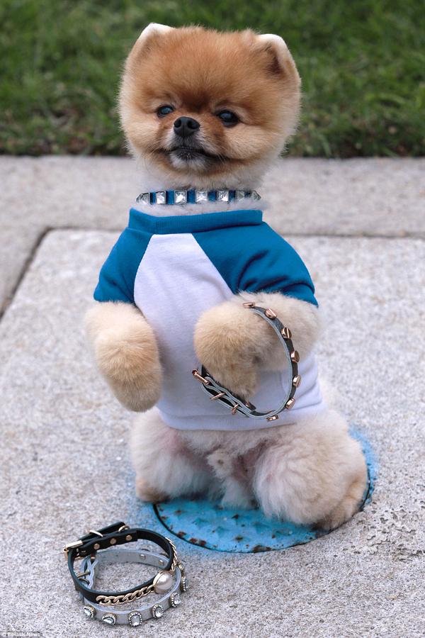 Jiff (@jcffpcm) on Twitter photo 