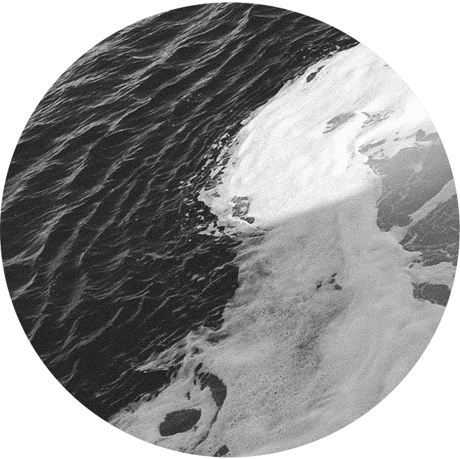 BC Beers tweet media